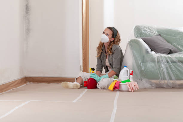 Reliable Commercial Mold Remediation contractor in Shelbyville, IL by WQB Mold Removal